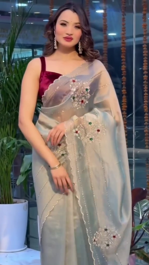 Embroidered Organza Saree